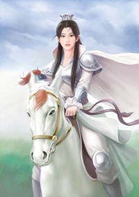 天之纵横